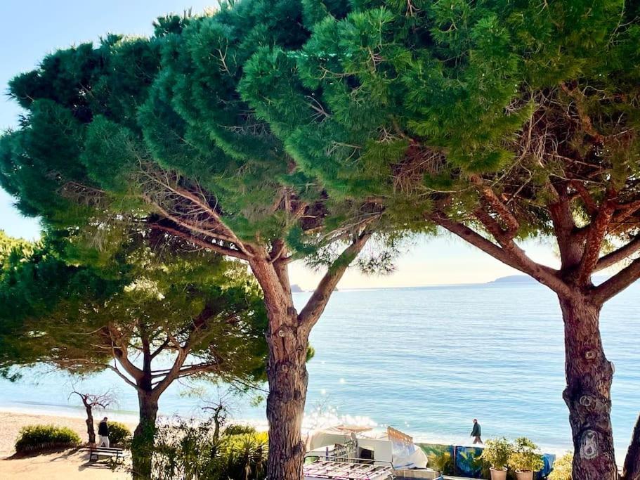 Appartement Les Pieds Dans L'Eau A Cavaliere Ле-Лаванду Экстерьер фото